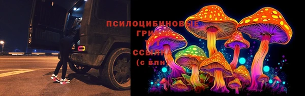 эйфоретик Алексин