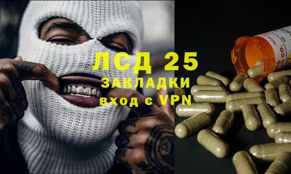 индика Майский